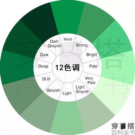 色彩學 綠色|【色彩學重點入門】一次搞懂對比 / 互補色、彩度明度。